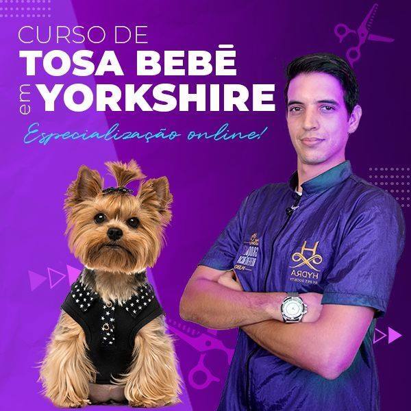 Curso Tosa Bebê em Yorkshire